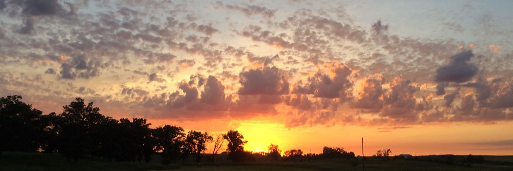 aubclark's profile banner image