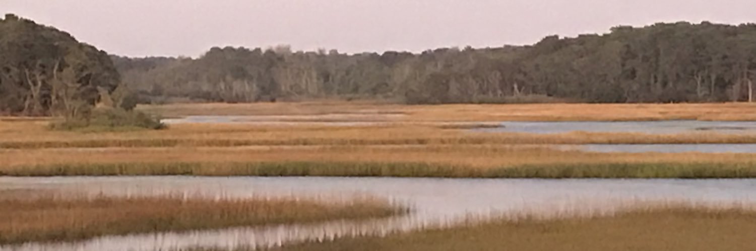 Andrea Silbert banner