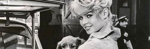 brigitte_bardoo's profile banner image
