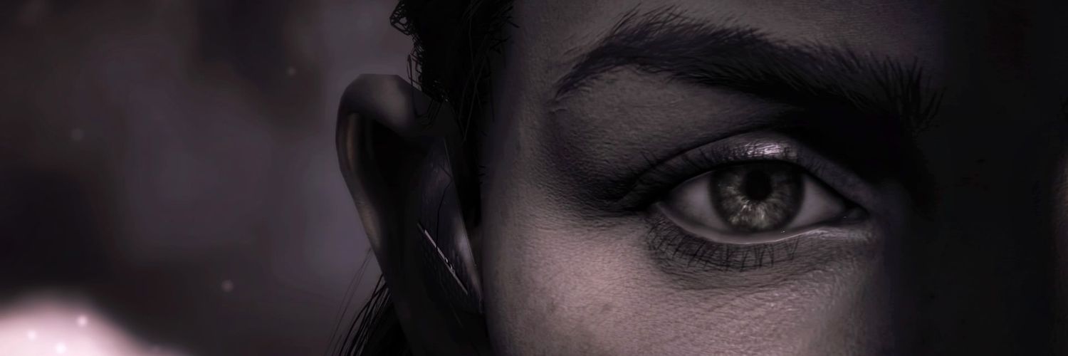 sednin's profile banner image