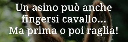 👩🏻‍🏫Silvia🐝C_ banner