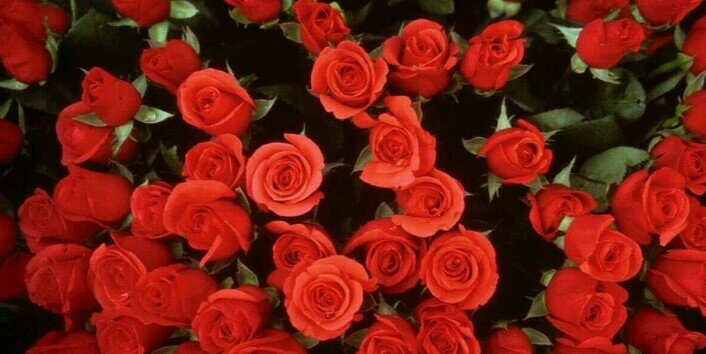 am_saad21's profile banner image