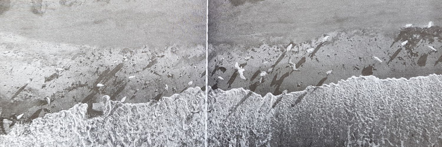 krisp79's profile banner image