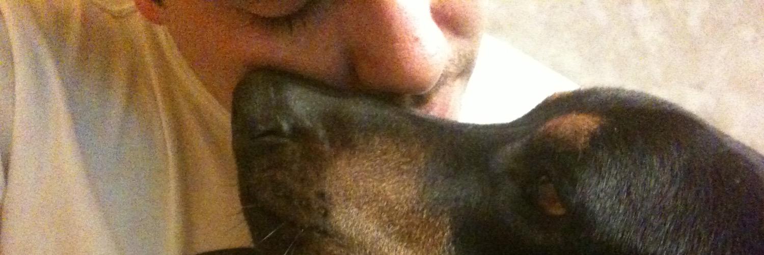 jorgeizv's profile banner image