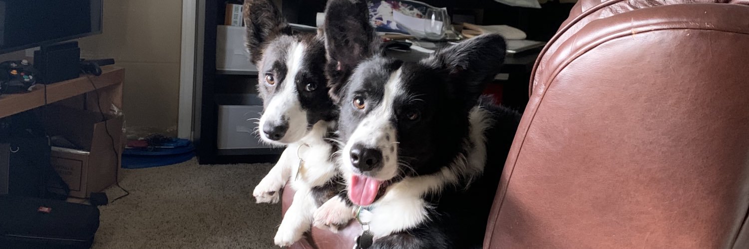 CorgiGirl24's profile banner image