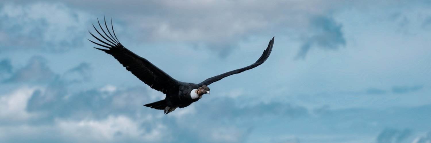 PILIHLCHB's profile banner image