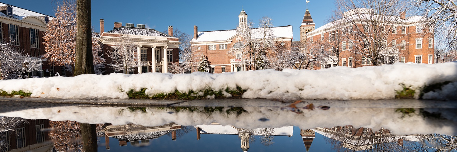Harvard Radcliffe Institute banner