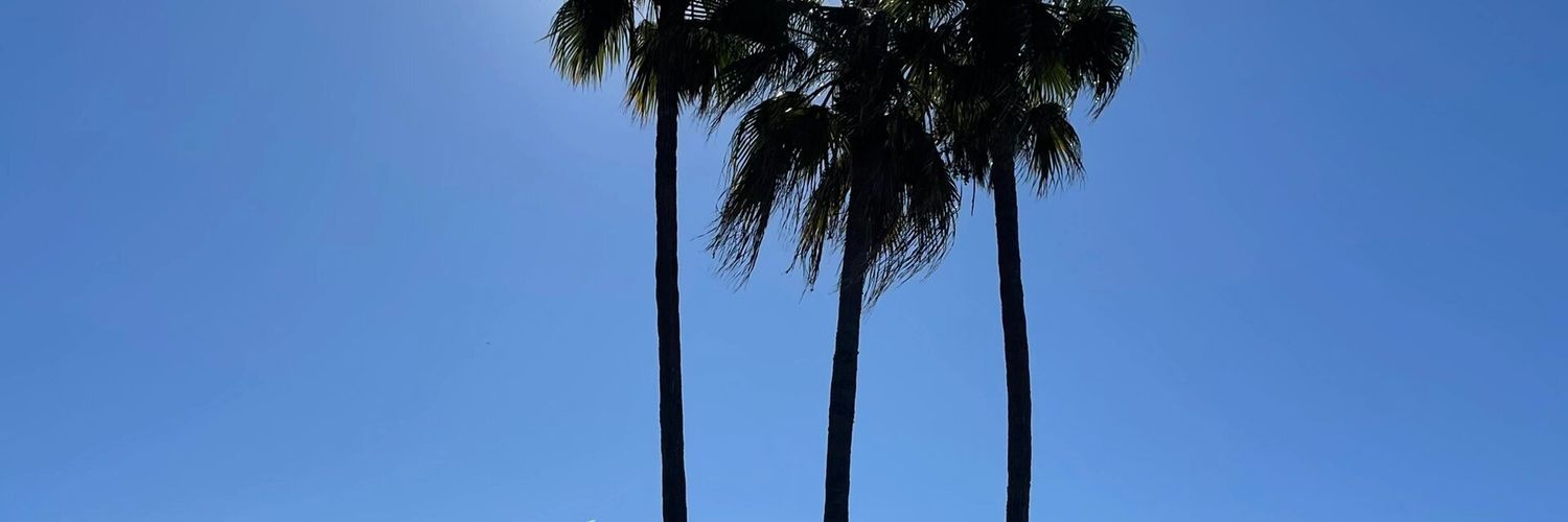 VeronicaQuerale's profile banner image