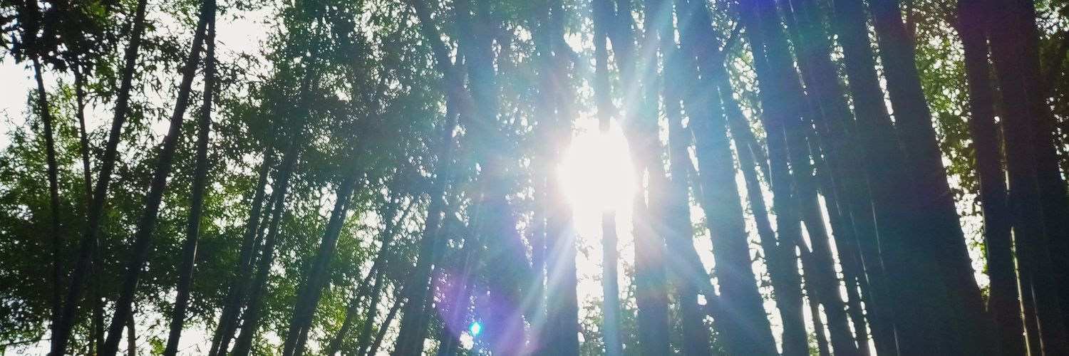 aaaarriieess's profile banner image