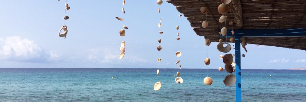 FBerlendis's profile banner image