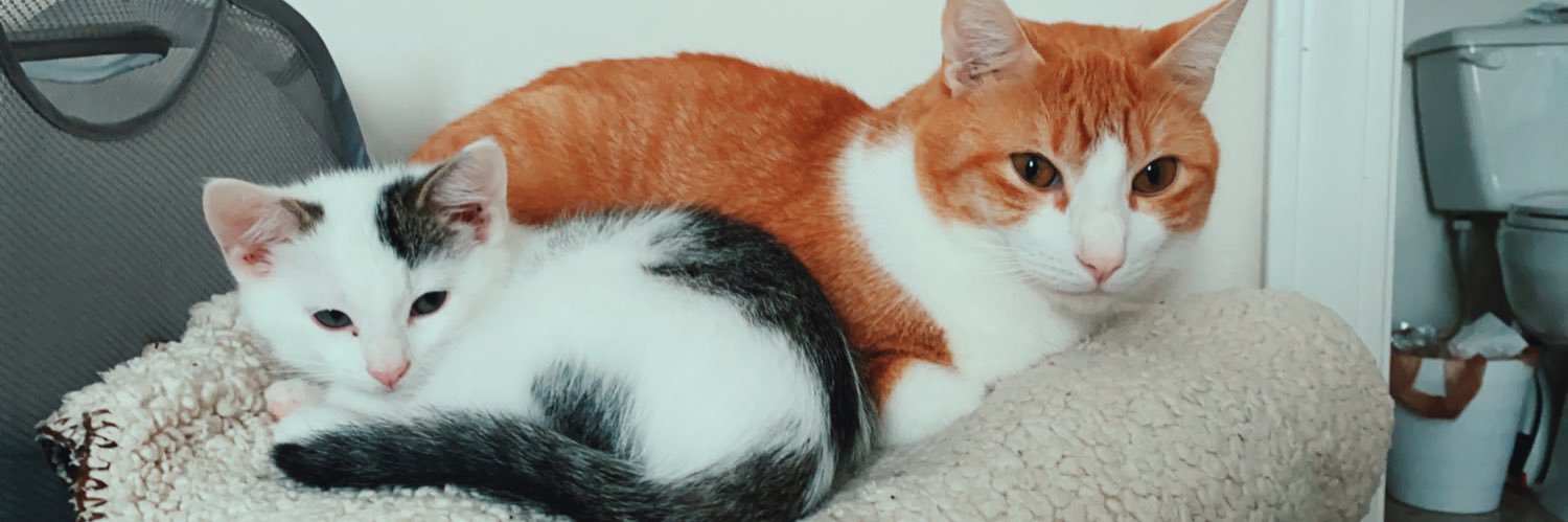 asher1104's profile banner image