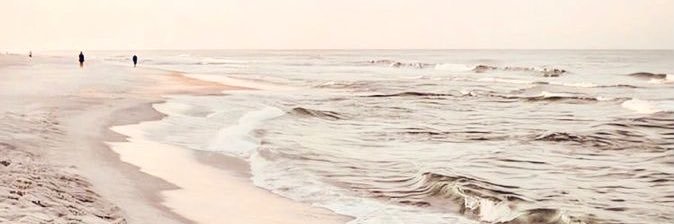 mackenziepetras's profile banner image