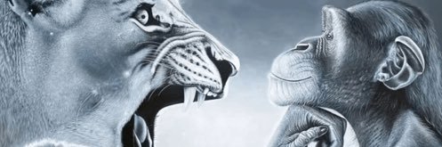 242424Hall's profile banner image