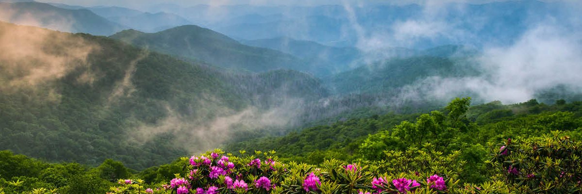 Options Industry Conference banner