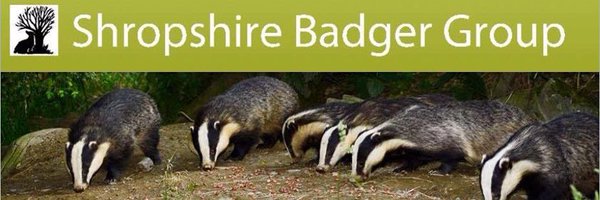 shropsbadgers Profile Banner