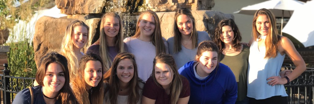 LadyGriffsVB's profile banner image