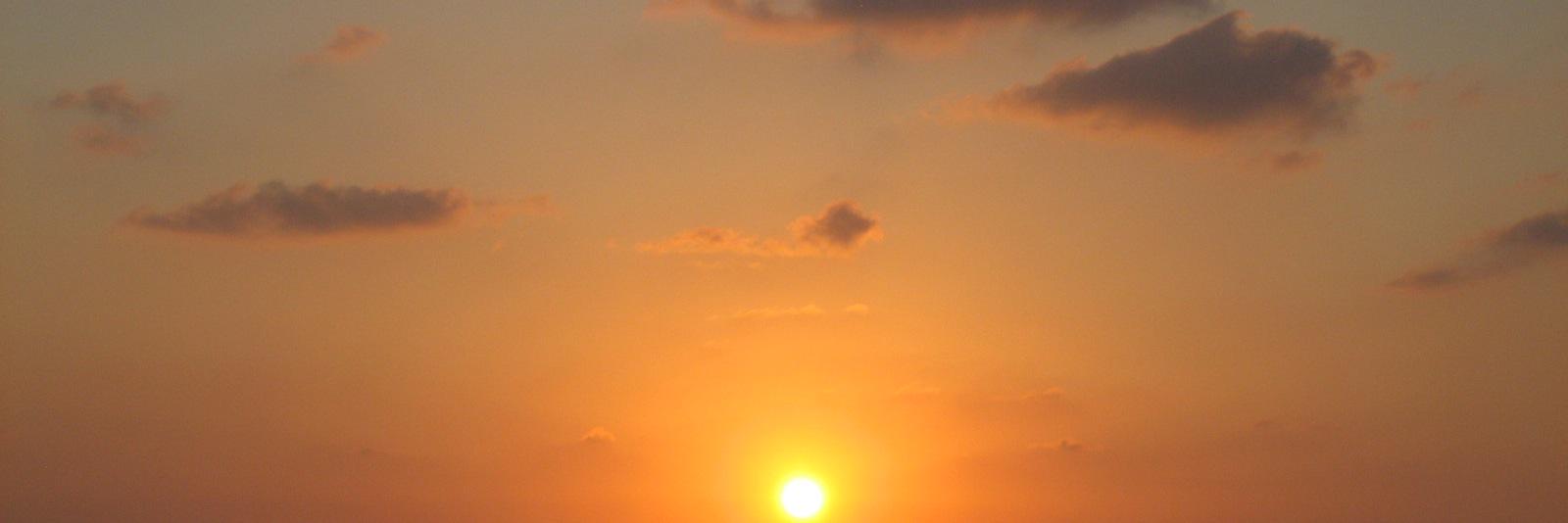 Jumaan Short Zizzari banner