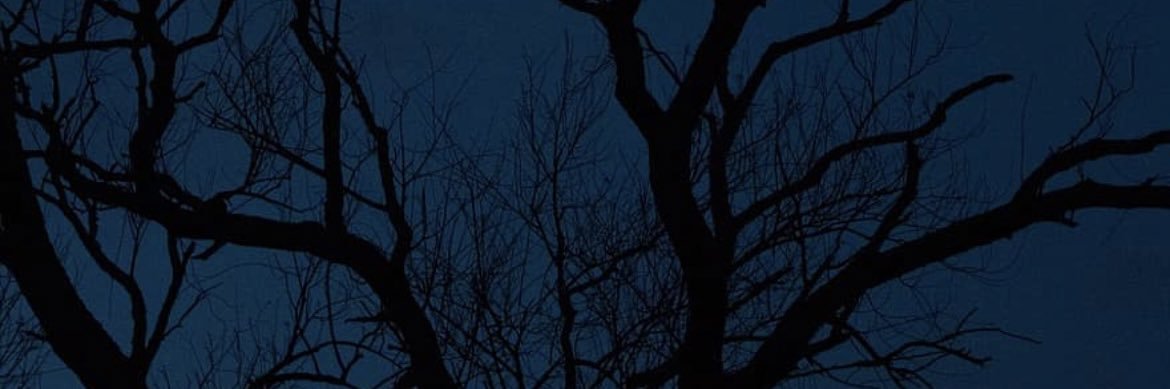 aryaf554's profile banner image