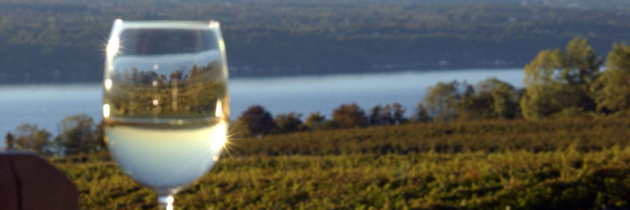 ElenaOyer's profile banner image
