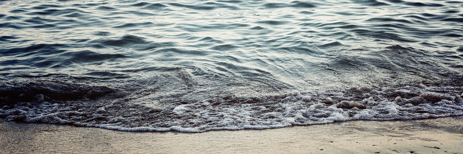 LisaRusso's profile banner image