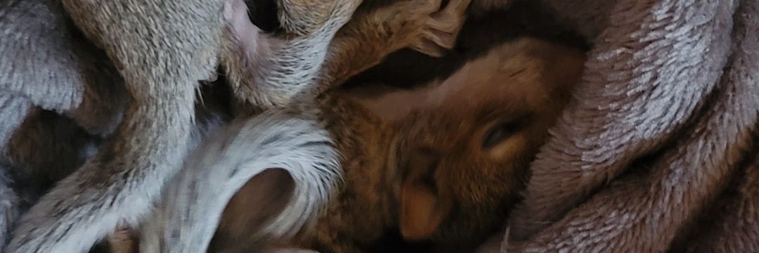 HydenfromYOU's profile banner image