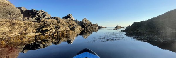 HaynesBrown Profile Banner