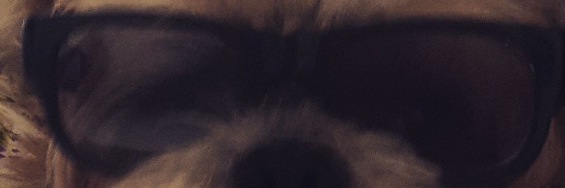 collycapmin's profile banner image