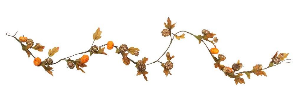 Fernanda 🦝 banner