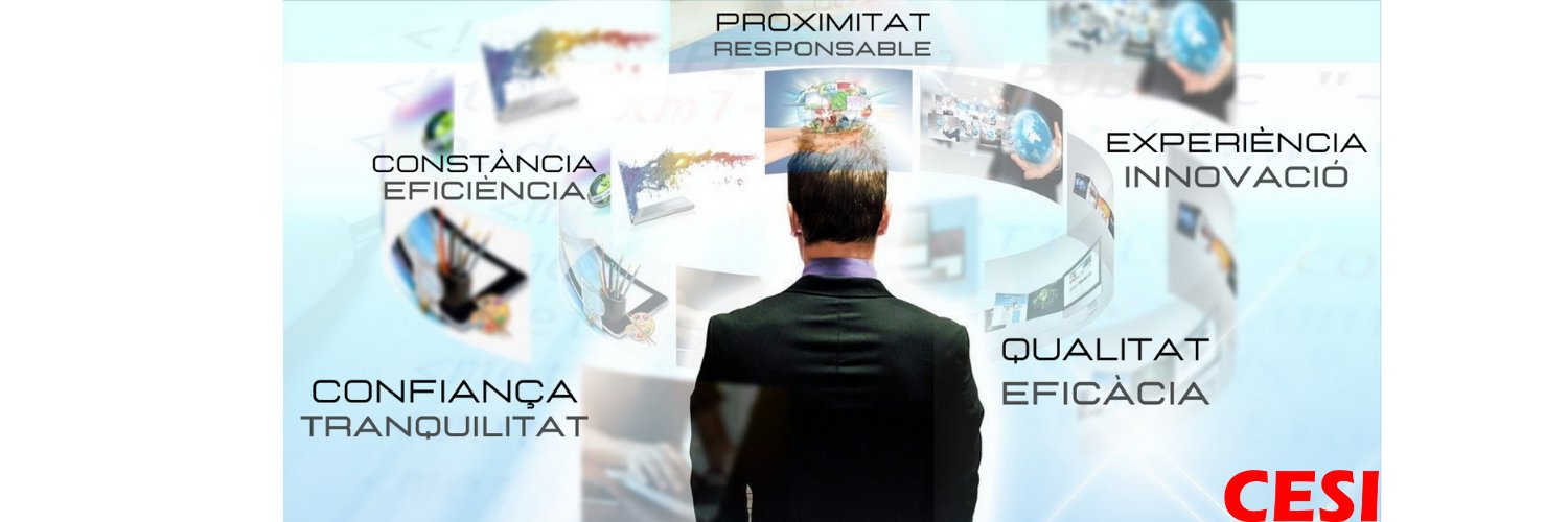CESI INFORMÀTICA banner