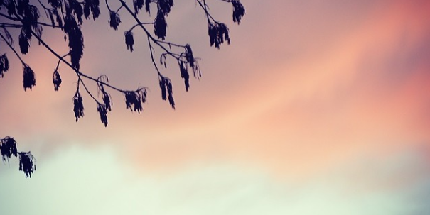 JeremyTaktouk's profile banner image
