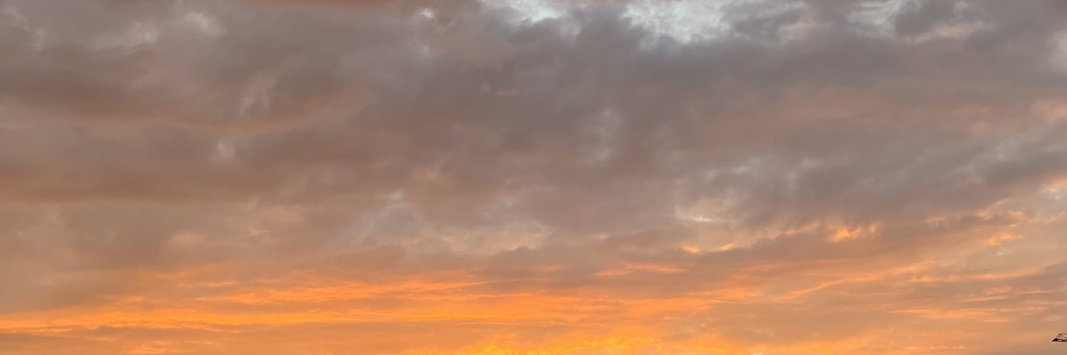 Lintsya's profile banner image