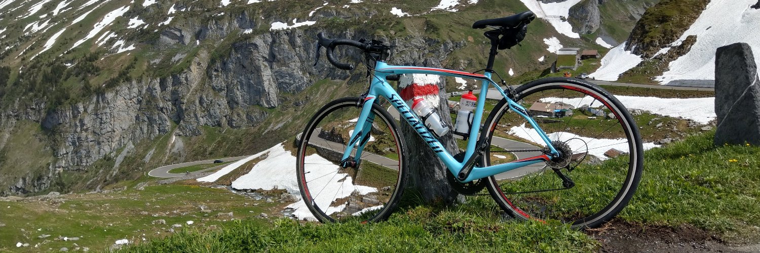 Renée Lechner banner