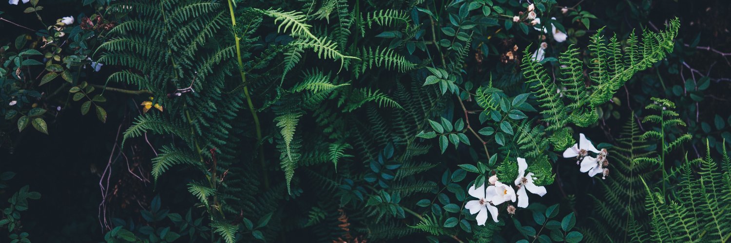 goodwipes's profile banner image