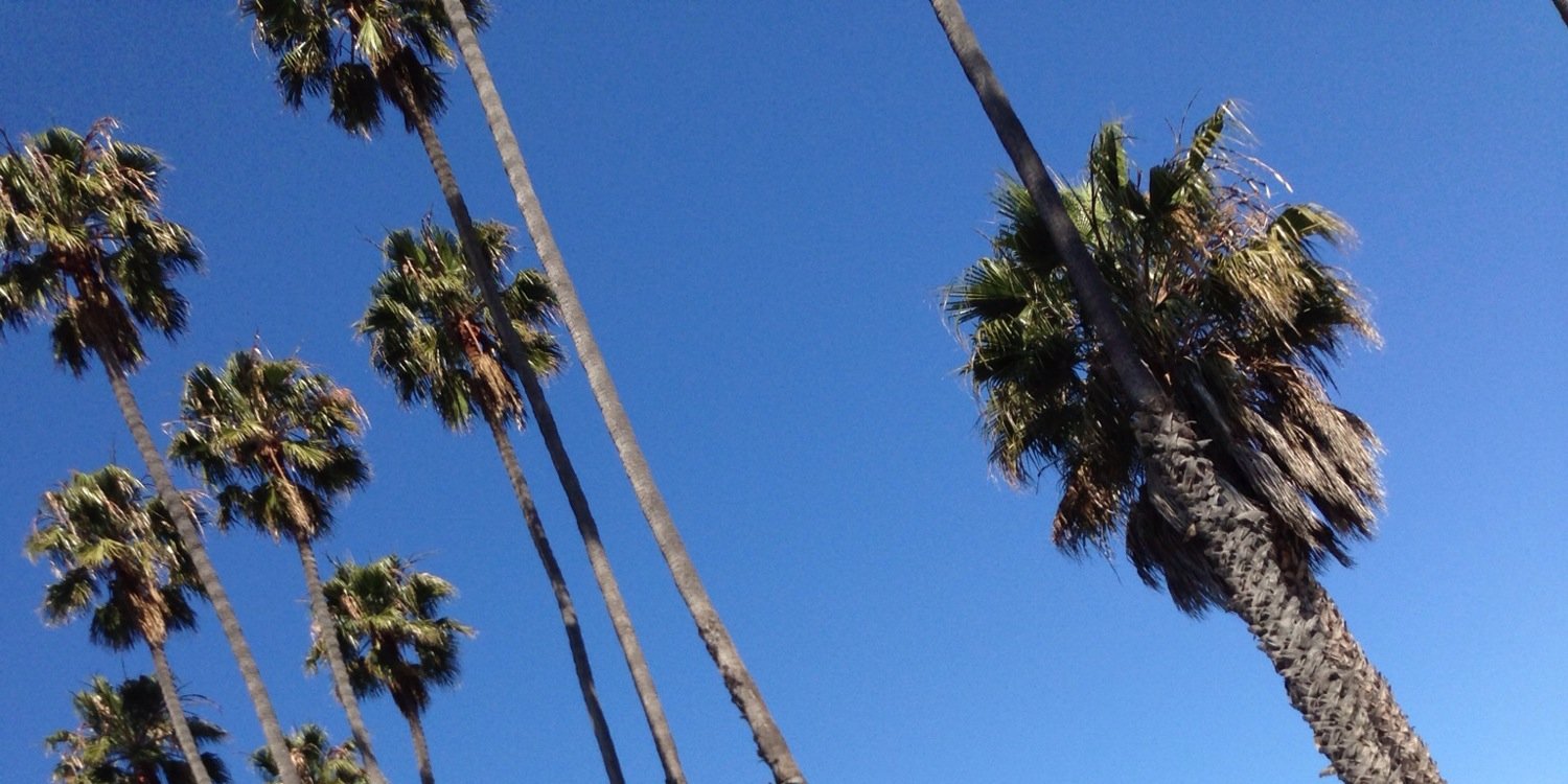 4thNLong2020's profile banner image
