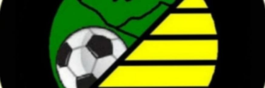 zaldibiAFT's profile banner image