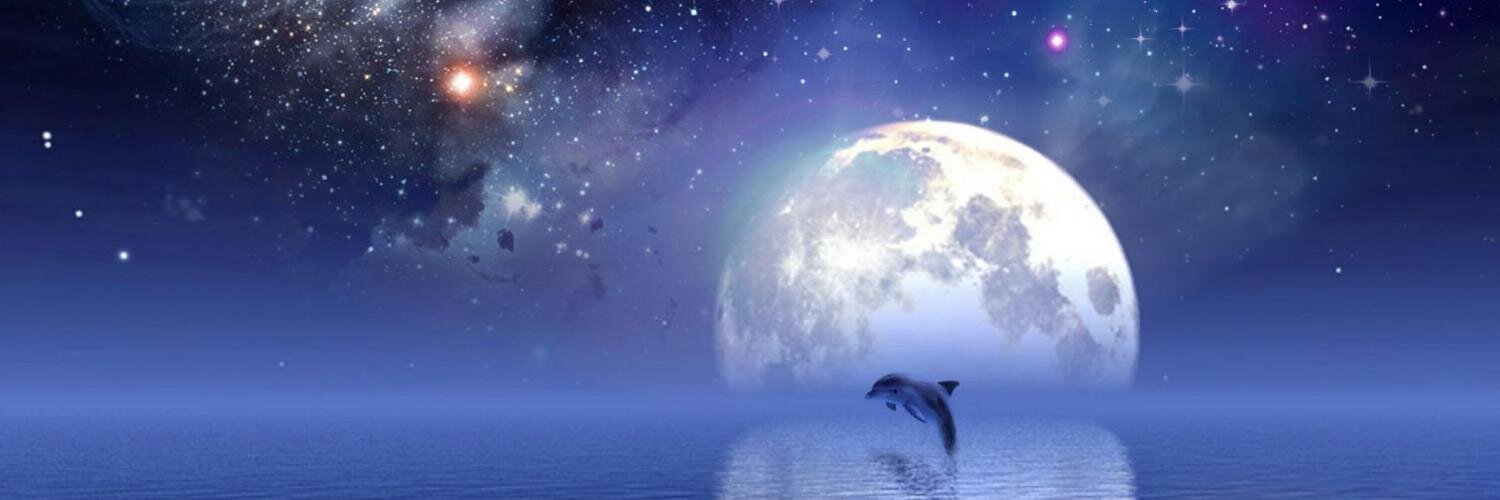 talm6789's profile banner image