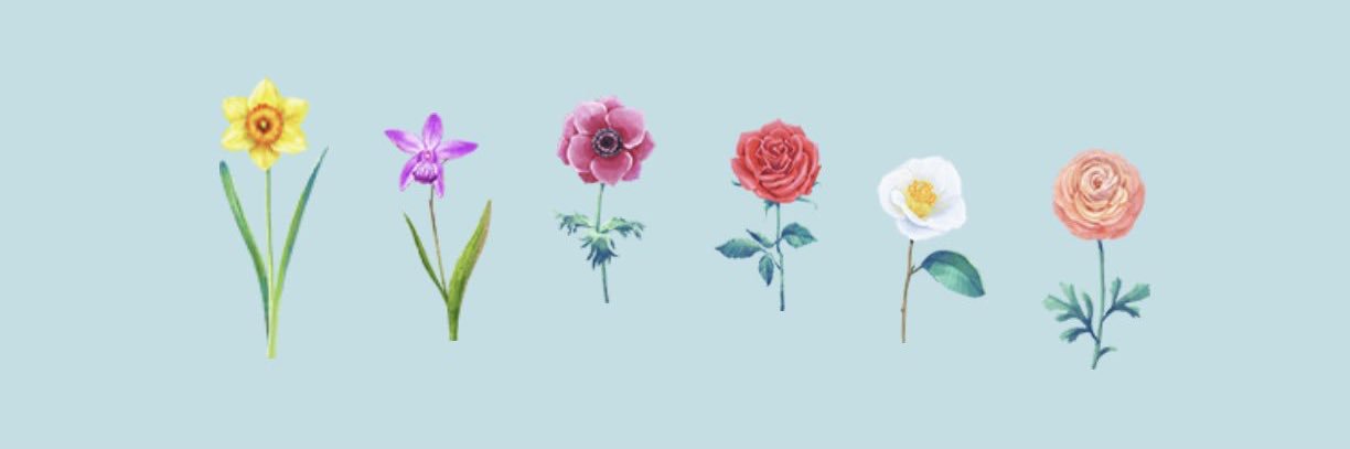 chimari_co's profile banner image