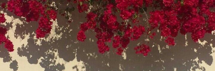 _Glendaritchie's profile banner image
