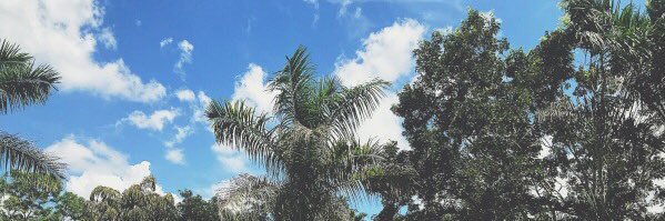 MorganKenney13's profile banner image