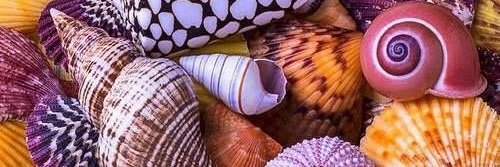 khalid5235's profile banner image