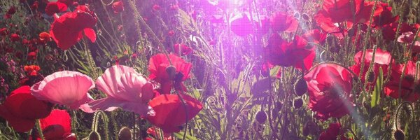 nmkerr Profile Banner