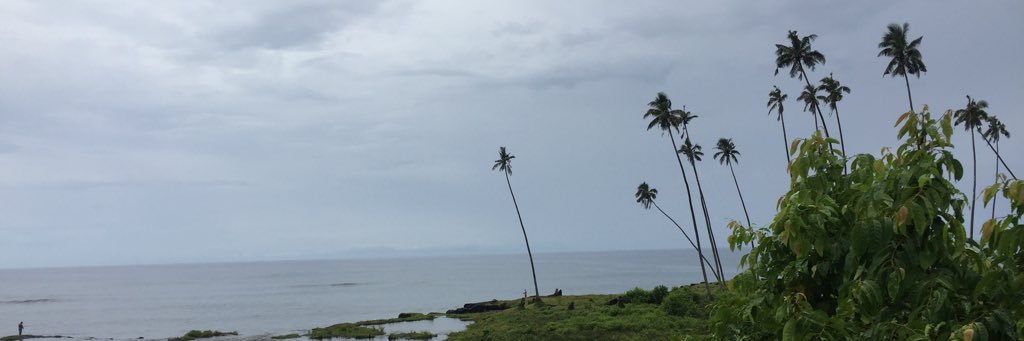 poufu's profile banner image