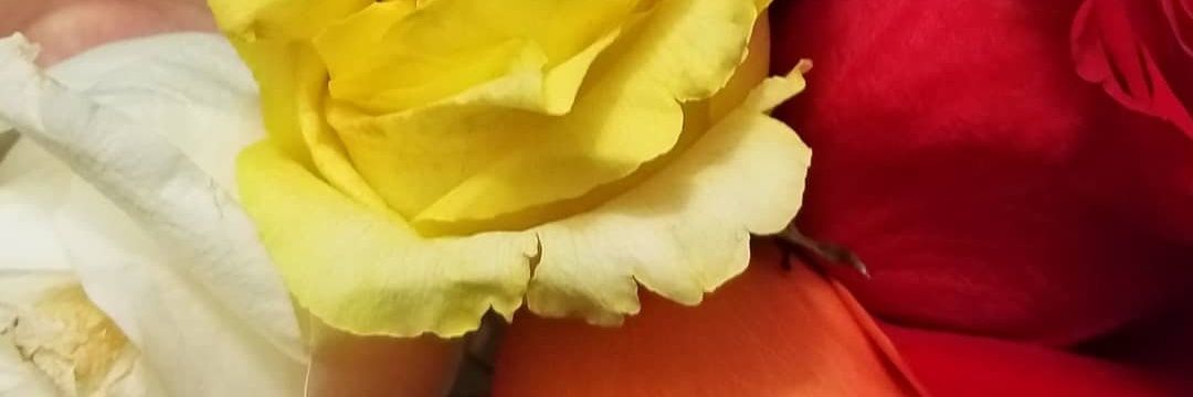 lucerito2169's profile banner image