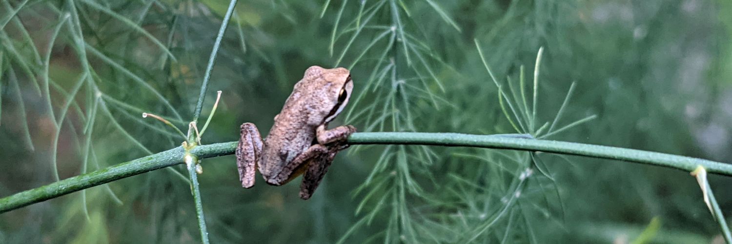 Rodd Clarkson banner