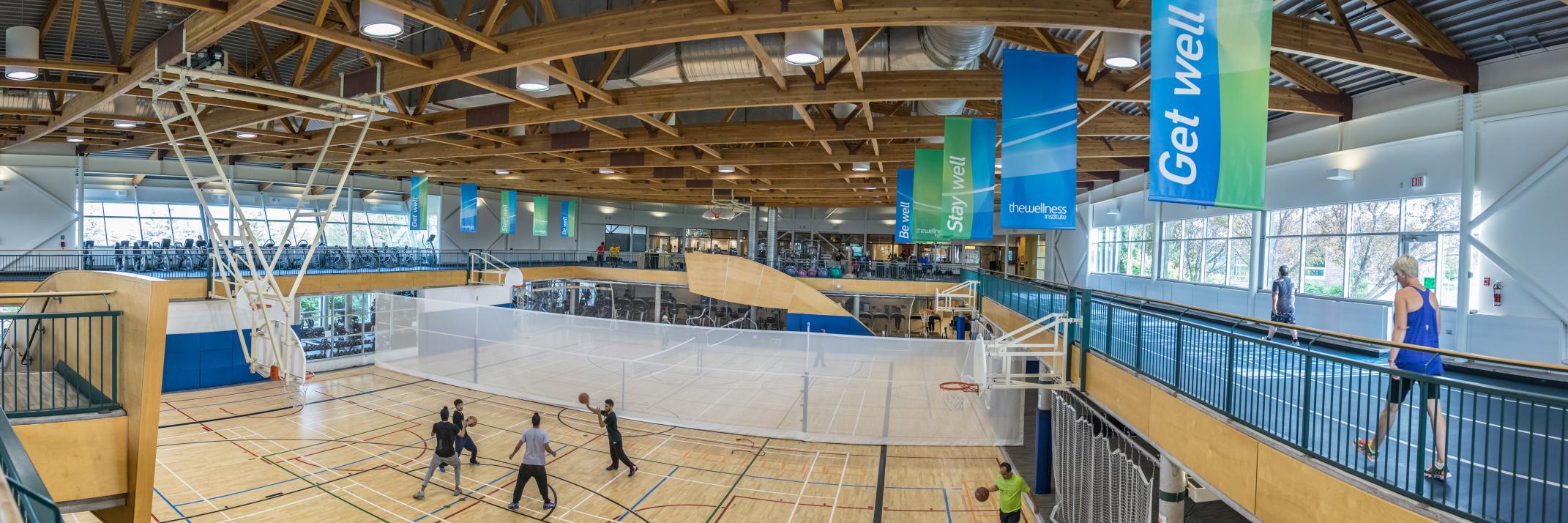 Wellness Institute banner