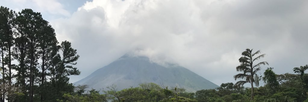 vogel3m's profile banner image