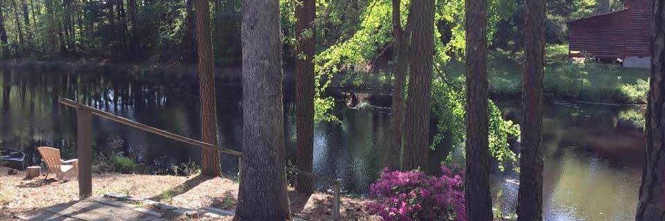 AdrianeMatyi's profile banner image