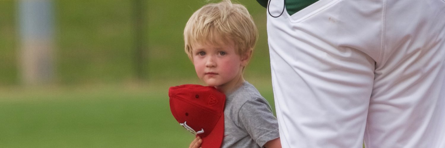 Baseball wheat banner