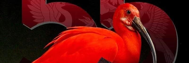 nnru007's profile banner image