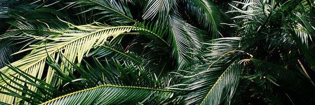 parenzi04's profile banner image